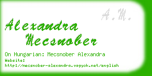 alexandra mecsnober business card